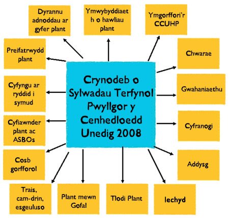 Concluding observations 2008