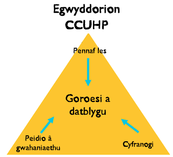 UNCRC guiding principles